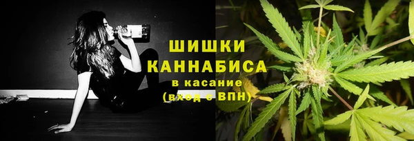 мдпв Зеленодольск