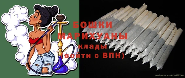 мдпв Зеленодольск