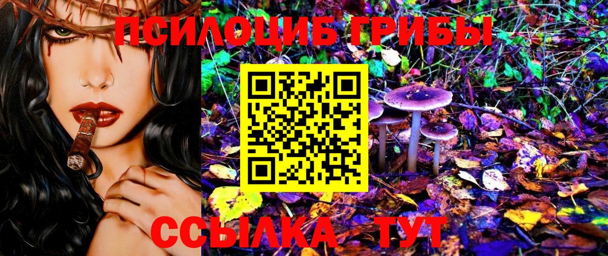 Псилоцибиновые грибы прущие грибы Ишим