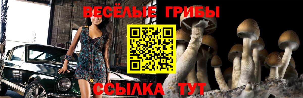 Галлюциногенные грибы прущие грибы  Вход с VPN  Ишим  Галлюциногенные грибы ЛСД 
